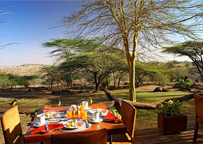 safari-kenya-accomodation-lewa-safari-camp